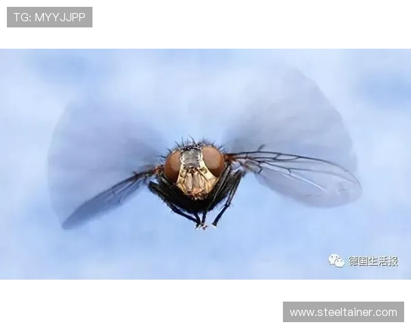 柏林联合深陷险境排名警报拉响